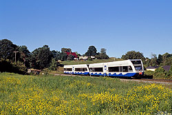 646 114 der UBB auf der Insel Usedom in der langgezogenen Kurve bei Heringsdorf