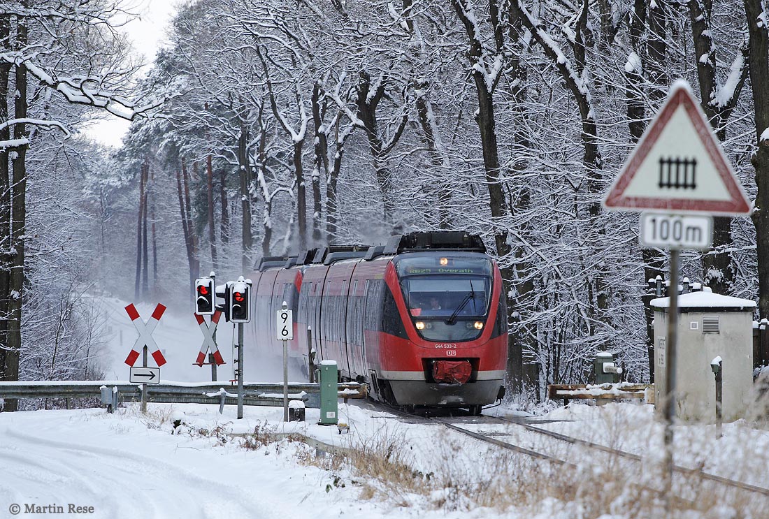 644 533 im Schnee im Königsforst auf der Oberbergischen Bahn