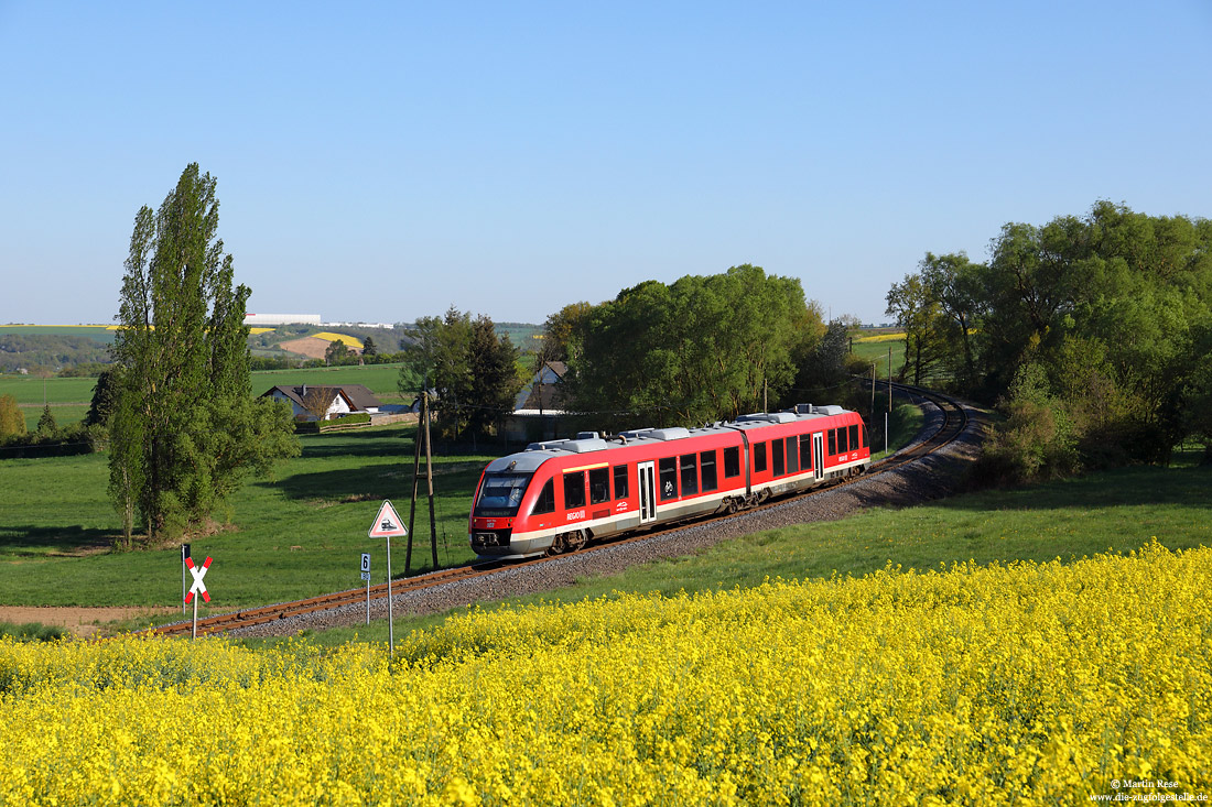 648 704 bei Mayen West mit Rapsfeld auf der Pellenz-Eifel-Bahn